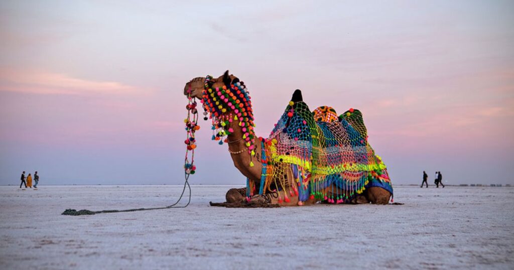 Kutch, Gujarat