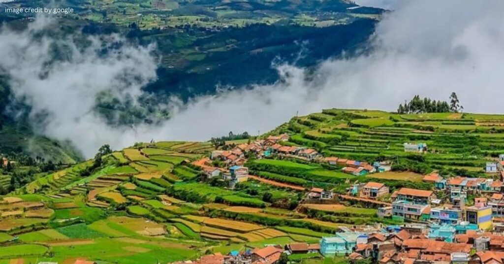 Ooty