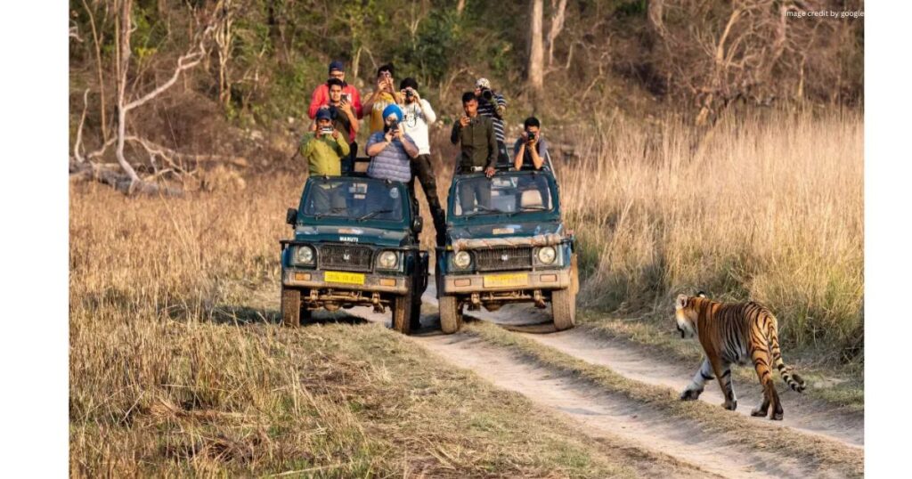 Jim Corbett National Park, Uttarakhand