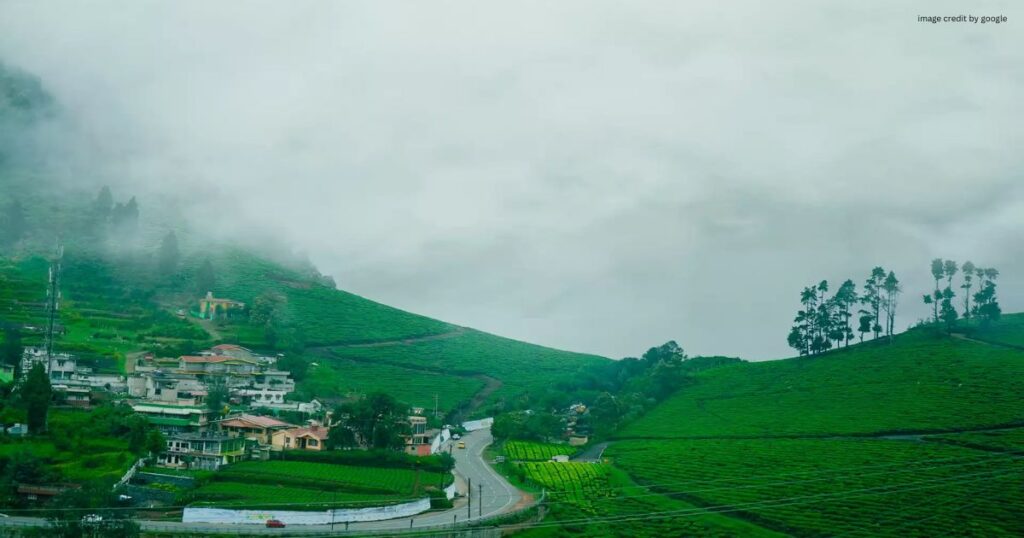 Ooty, Tamil Nadu