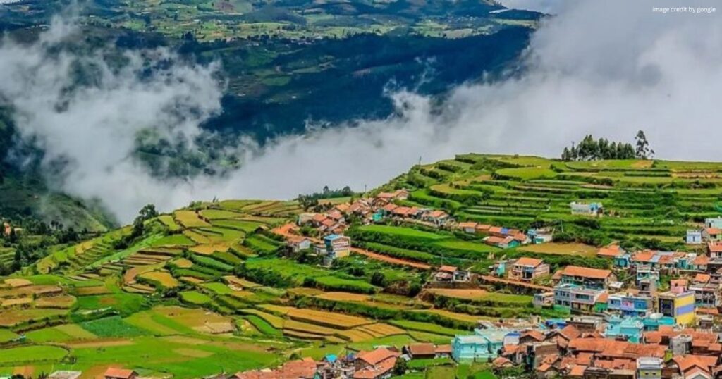Ooty