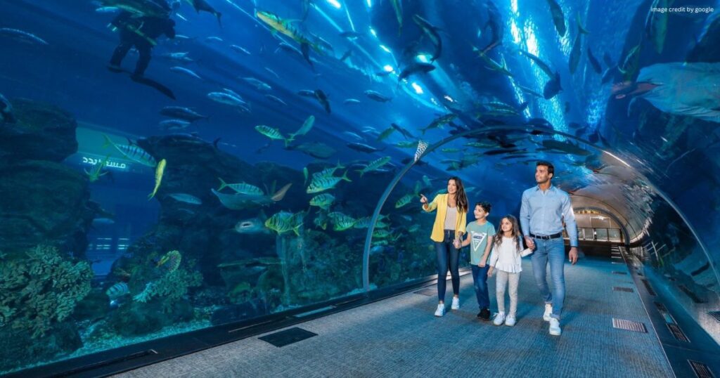 Dubai Aquarium and Underwater Zoo