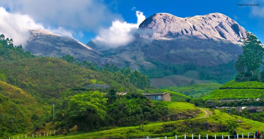 Munnar, Kerala