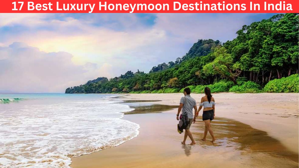 Luxury Honeymoon Destinations In India