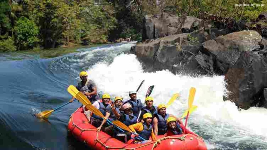 Dandeli