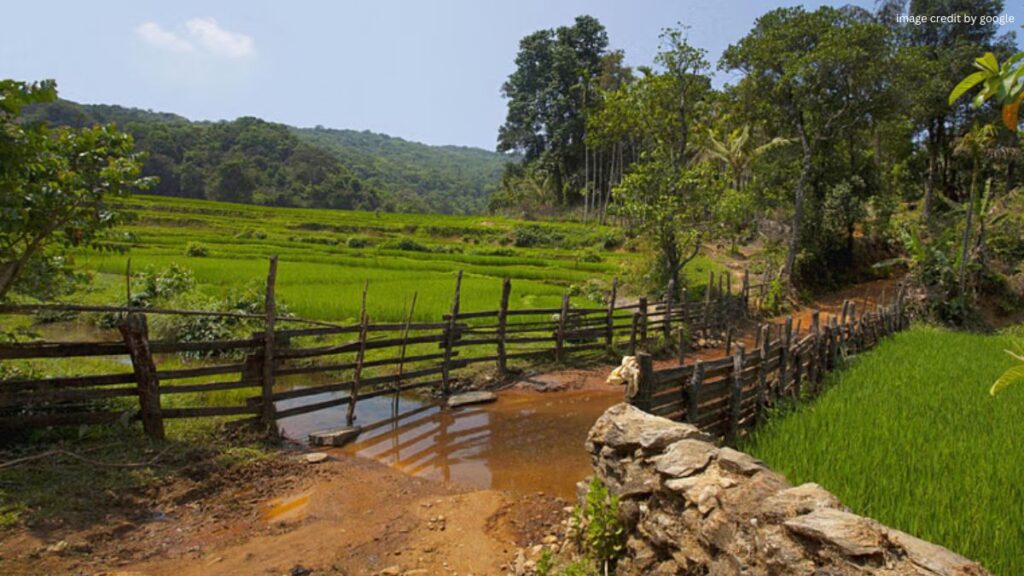 Anshi National Park