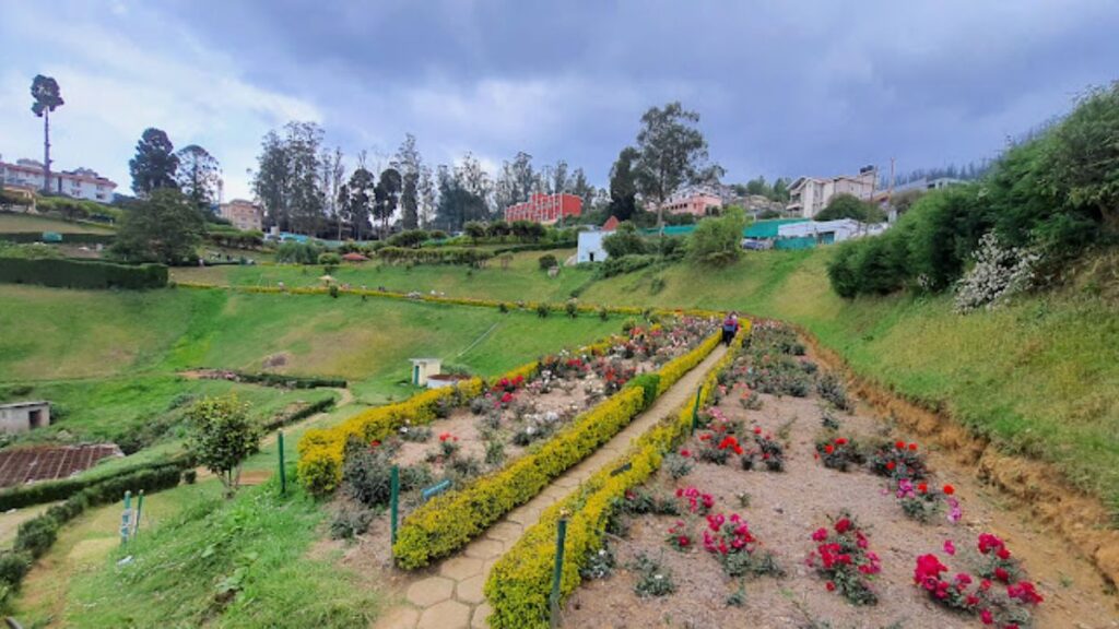 Ooty