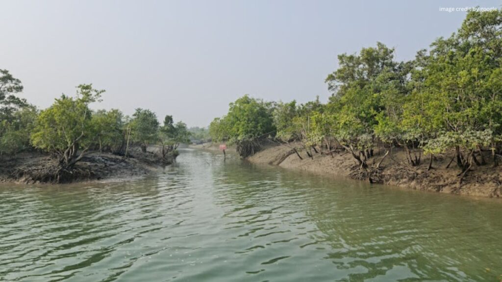 Sundarbans