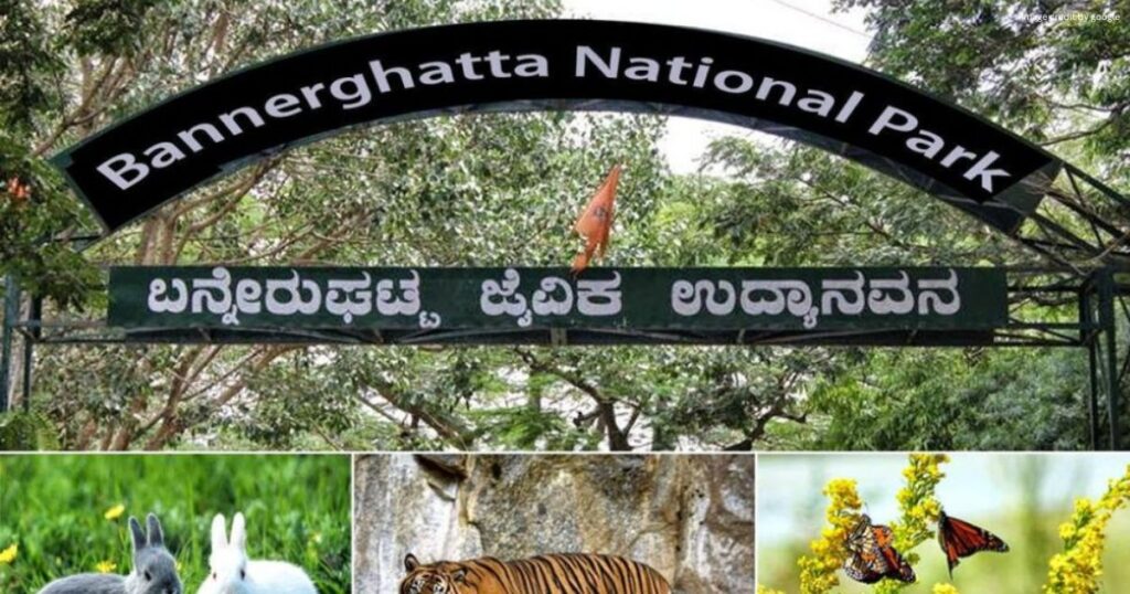Bannerghatta National Park